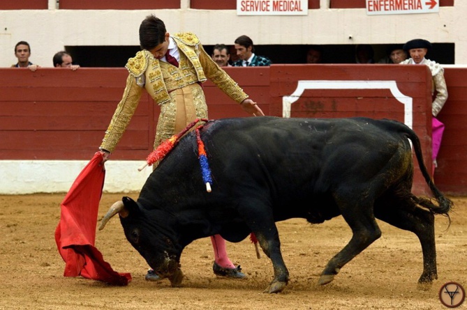 Dimanche 17 septembre 2017... Dimanche 17 septembre 2017...