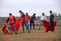 Le CFT au CAMPO …