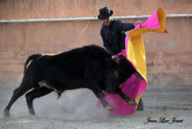 Entrainement chez le Maestro Joël MATRAY Entrainement chez le Maestro Joël MATRAY