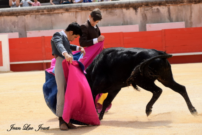 Rafael et Nino al alimon