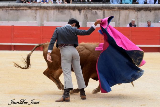 Larga de Nino Larga de Nino