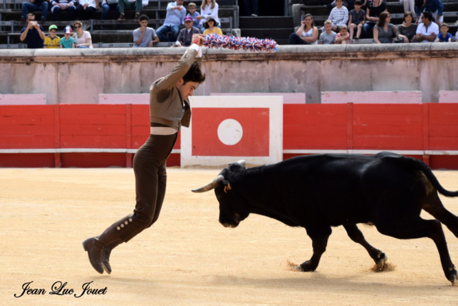 Clément aux banderilles Clément aux banderilles
