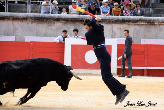 Quentin ... Quentin ...