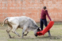 Entrainement de Préparation à la temporada, avec mises à mort en privé. Entrainement de Préparation à la temporada, avec mises à mort en privé.