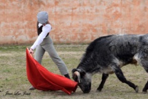 Entrainement de Préparation à la temporada, avec mises à mort en privé. Entrainement de Préparation à la temporada, avec mises à mort en privé.