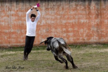 Entrainement de Préparation à la temporada, avec mises à mort en privé. Entrainement de Préparation à la temporada, avec mises à mort en privé.