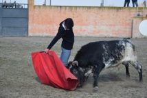 Entrainement de Préparation à la temporada, avec mises à mort en privé. Entrainement de Préparation à la temporada, avec mises à mort en privé.