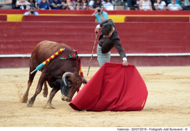 Week-end très positif pour les élèves du Centre Français de Tauromachie