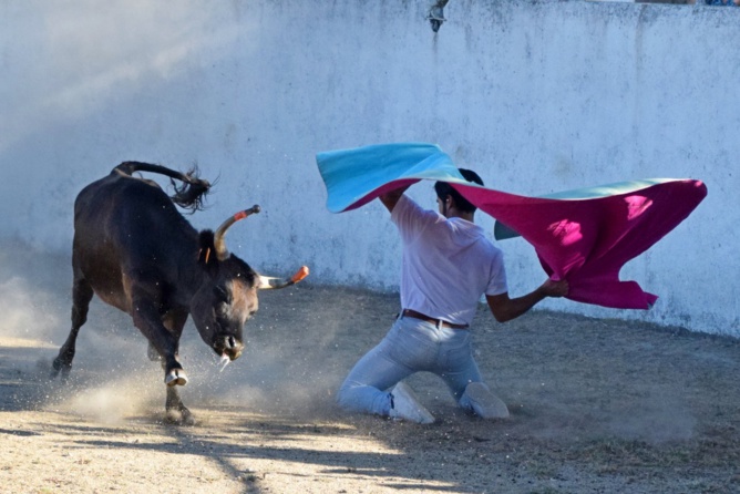 ​Un grand MERCI aux manadiers Camargue…