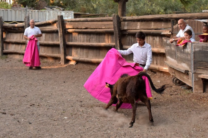 Nos tout-petits en action !!! Nos tout-petits en action !!!