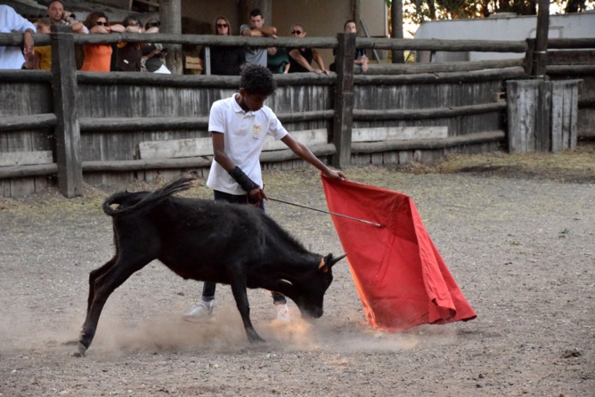 Nos tout-petits en action !!!
