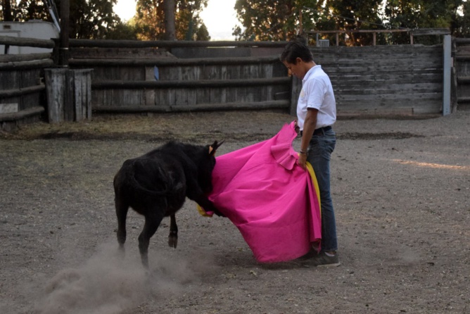 Nos tout-petits en action !!! Nos tout-petits en action !!!