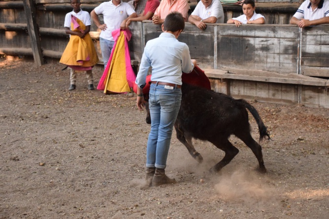 Nos tout-petits en action !!!