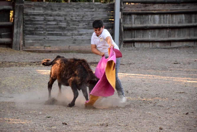 Nos tout-petits en action !!!
