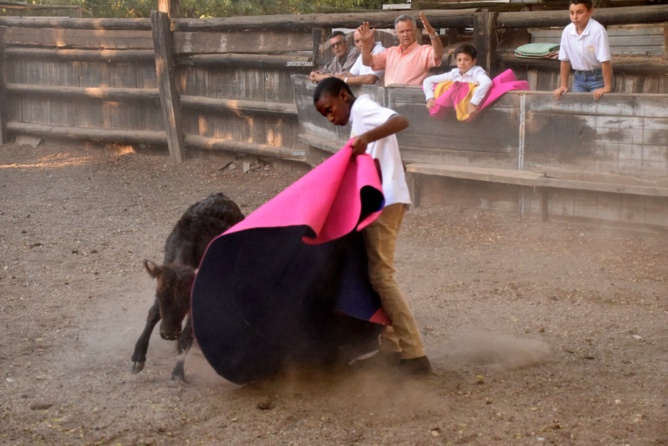 Nos tout-petits en action !!! Nos tout-petits en action !!!