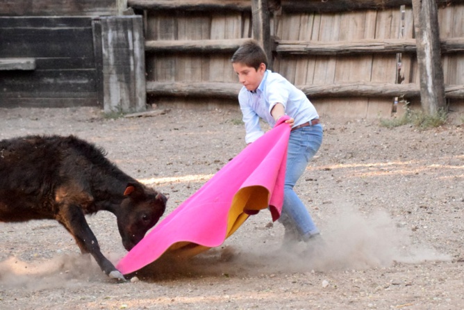Nos tout-petits en action !!!