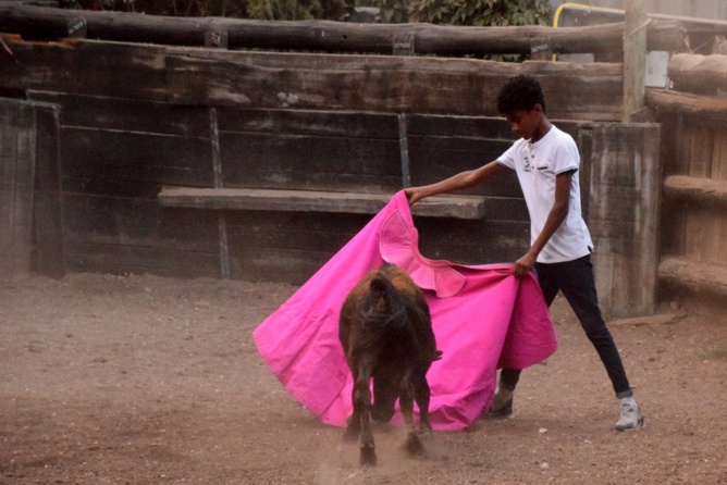 Kilian très appliqué au capote Kilian très appliqué au capote