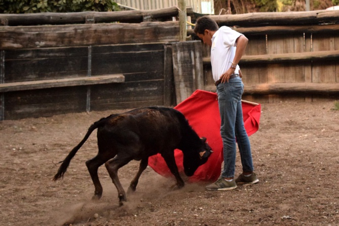 Victor très élégant à la muleta Victor très élégant à la muleta