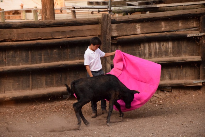 Clovis au capote Clovis au capote