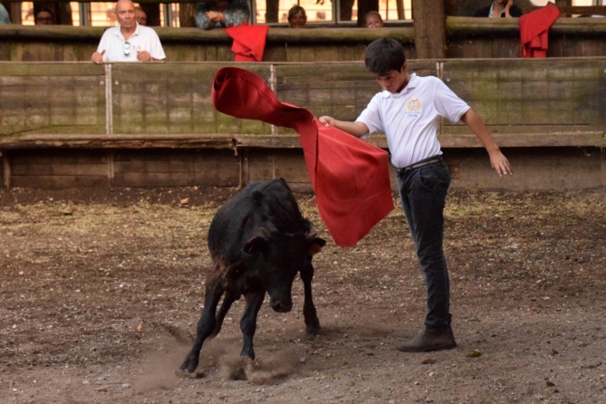 Clovis à la muleta