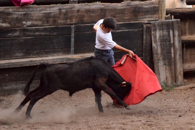 Clovis à la muleta très assuré