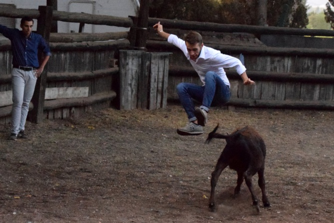 Canten saute au-dessus de l'énorme animal !!!