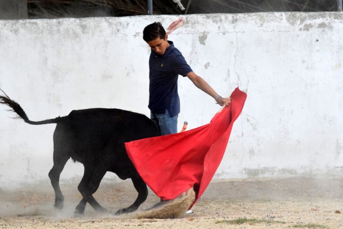 Une passe très sûre de Victor Une passe très sûre de Victor