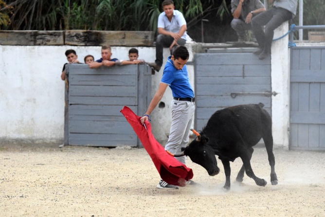 Valentin bien sur les reins