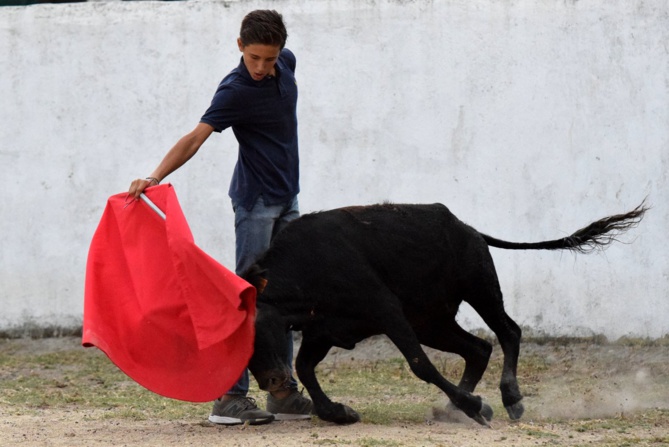 Victor à la muleta, comme à la maison !!! Victor à la muleta, comme à la maison !!!