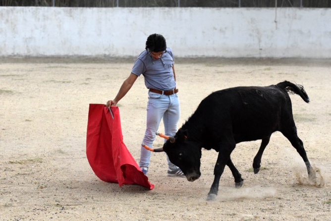 Le dominio de Nino Le dominio de Nino