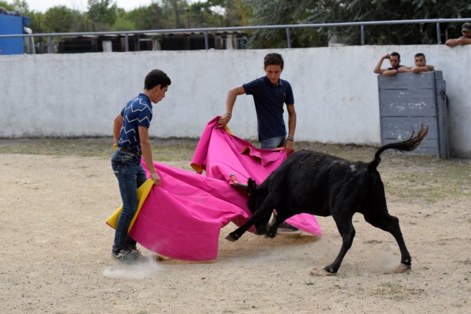 Al alimon ... Al alimon ...