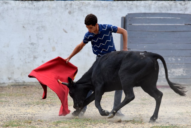Manuel toujours volontaire Manuel toujours volontaire