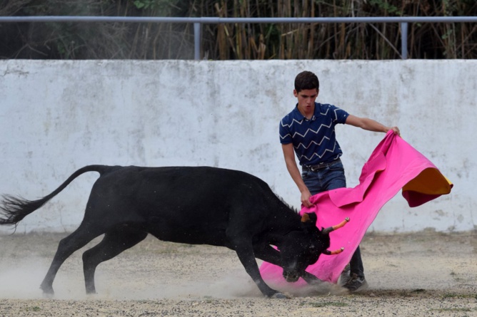 Manuel au capote Manuel au capote