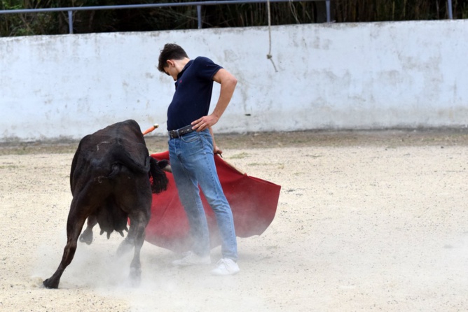 La belle ceinture de Rafaël La belle ceinture de Rafaël