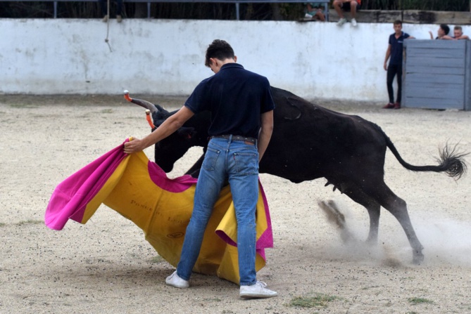 Rafaël au capote