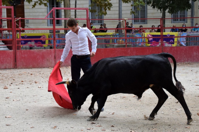 Le CFT au Bosquet pour la Feria des Vendanges 2020