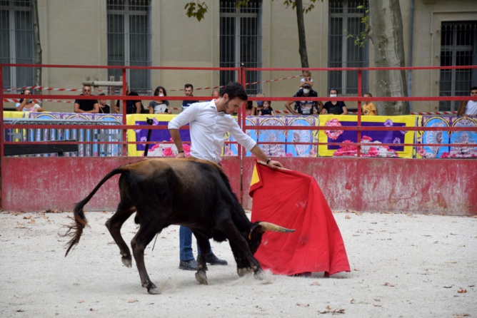 Le CFT au Bosquet pour la Feria des Vendanges 2020