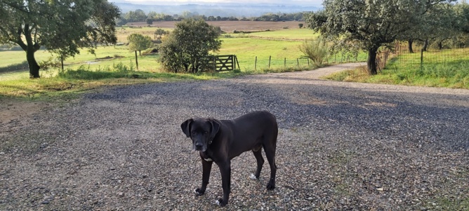 Tass le chef de la ganaderia ... Tass le chef de la ganaderia ...