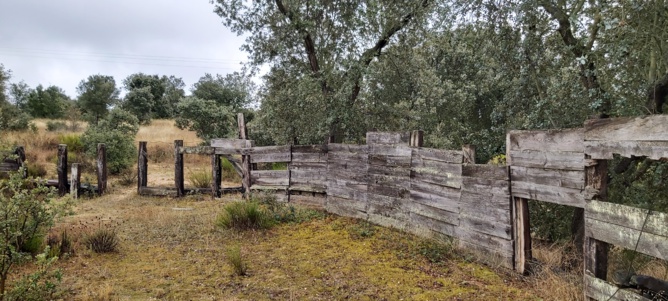 la antigua plaza de Vega de Tirados la antigua plaza de Vega de Tirados