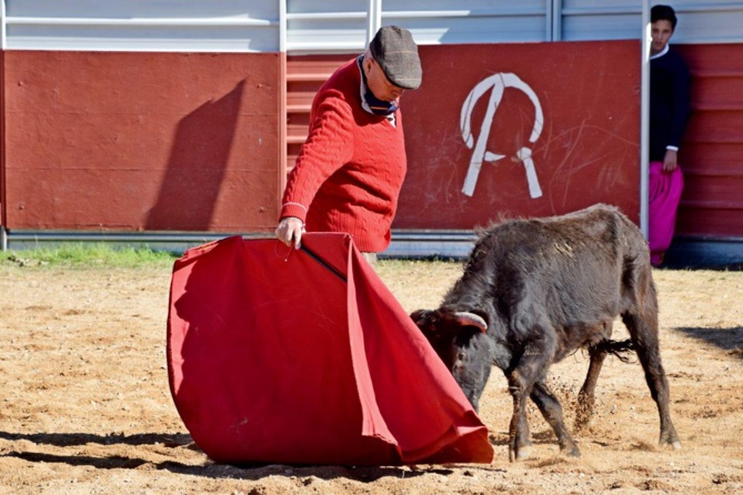 Le Maestro por derechazo