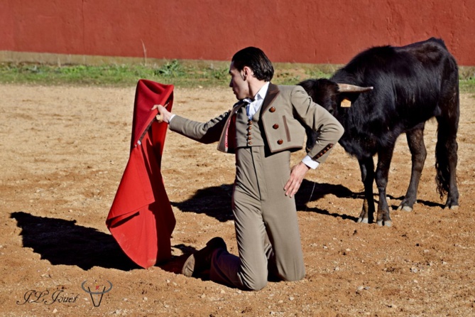 Clément HARGOUS Clément HARGOUS