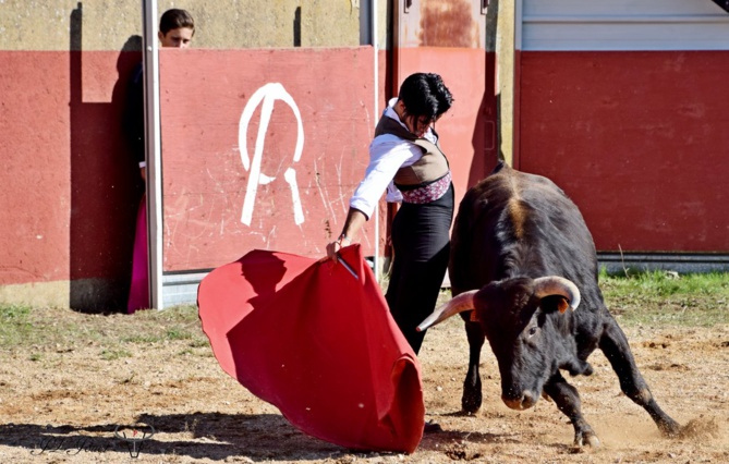 Nino JULIÁN