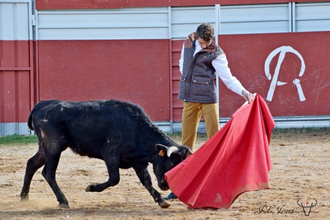 Gauthier DOMBRY Gauthier DOMBRY