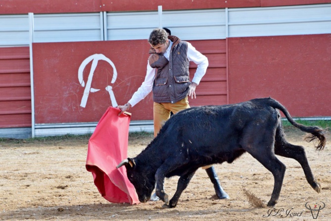Quelle élégance ! Quelle élégance !