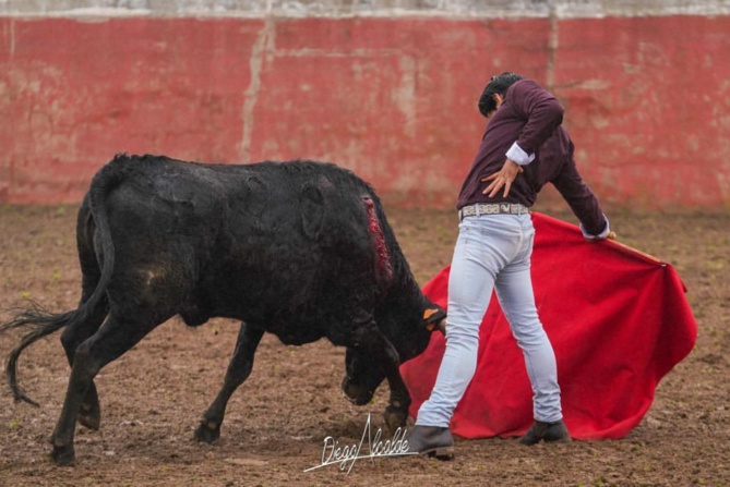 Des nouvelles de Nino JULIÁN… Des nouvelles de Nino JULIÁN…