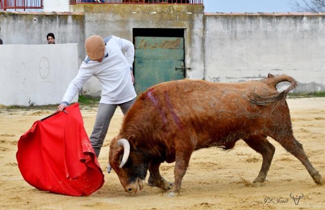 La générosité de la Ganadera Dominique CUILLÉ La générosité de la Ganadera Dominique CUILLÉ