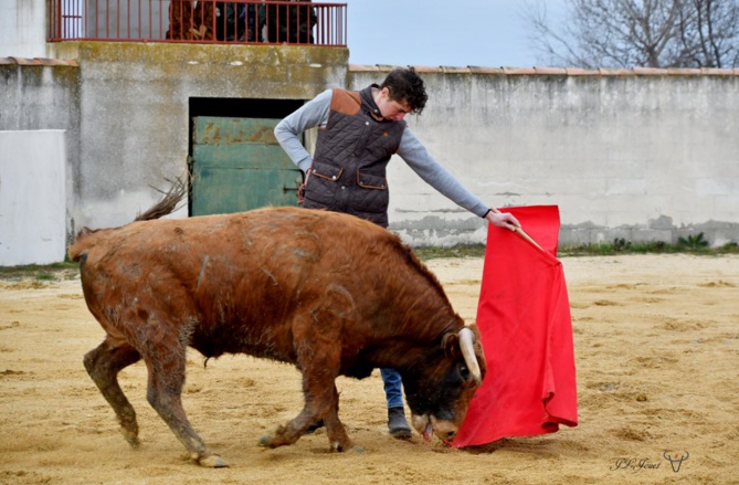 La générosité de la Ganadera Dominique CUILLÉ La générosité de la Ganadera Dominique CUILLÉ