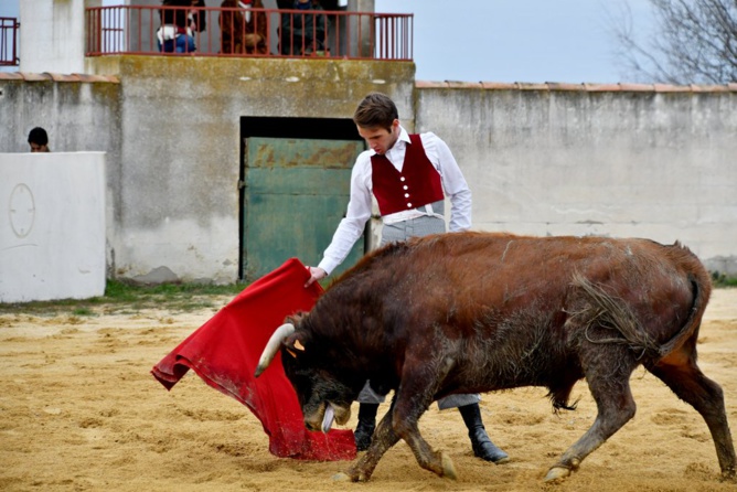La générosité de la Ganadera Dominique CUILLÉ La générosité de la Ganadera Dominique CUILLÉ