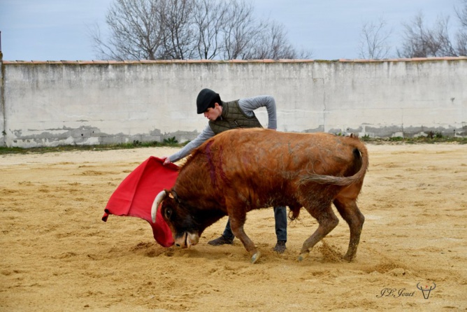 La générosité de la Ganadera Dominique CUILLÉ La générosité de la Ganadera Dominique CUILLÉ