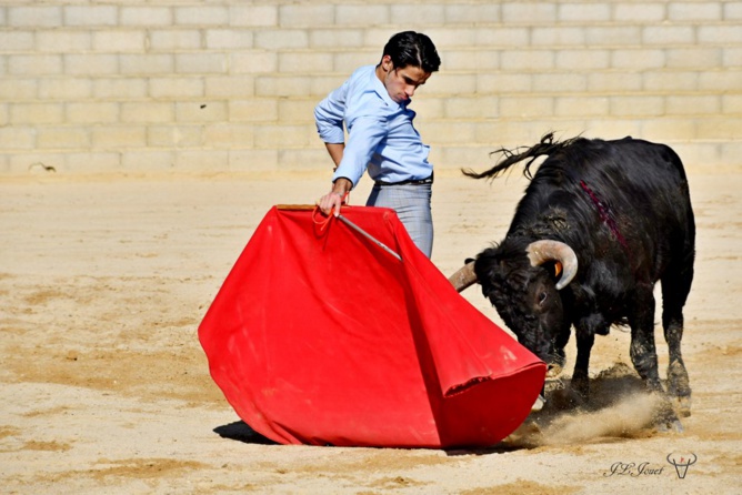 Entraînement au campo sous le soleil de février 2021                                 Entraînement au campo sous le soleil de février 2021